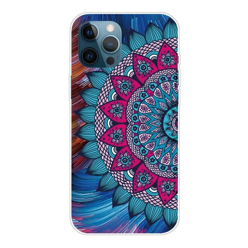 Cover iPhone 13 Pro Max Farverig Mandala