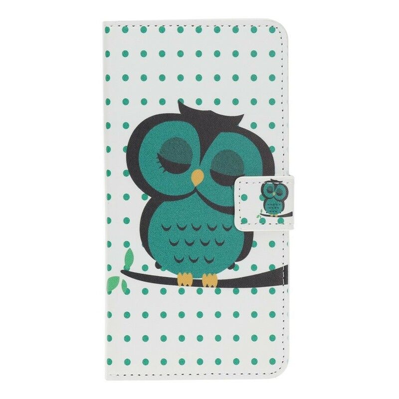 Flip Cover Huawei Nova 5T / Honor 20 Sovende Ugle
